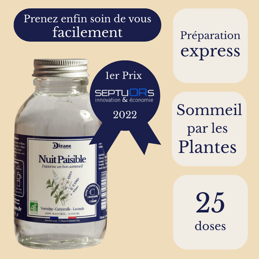 Dizane Nuit Paisible
