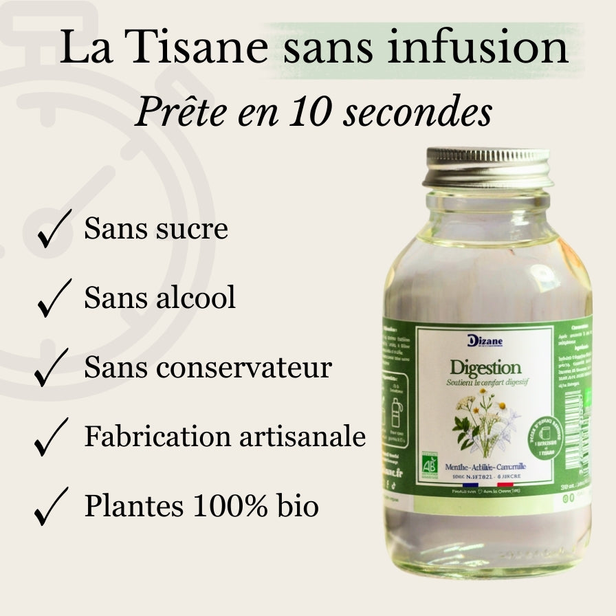 Dizane Digestion