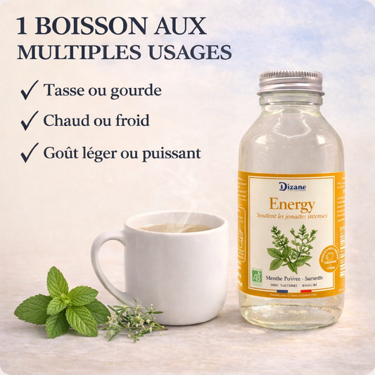 Dizane Energy