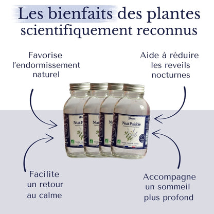 Dizane Nuit Paisible