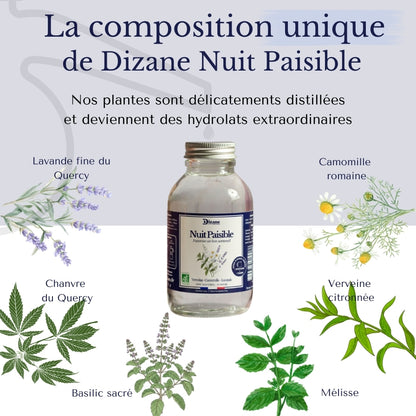 Dizane Nuit Paisible