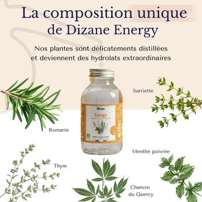 Dizane Energy