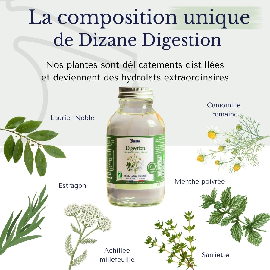 Dizane Digestion