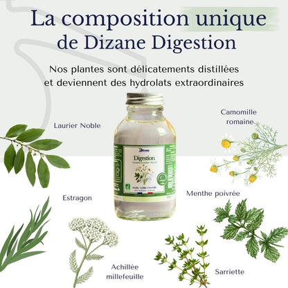 Dizane Digestion