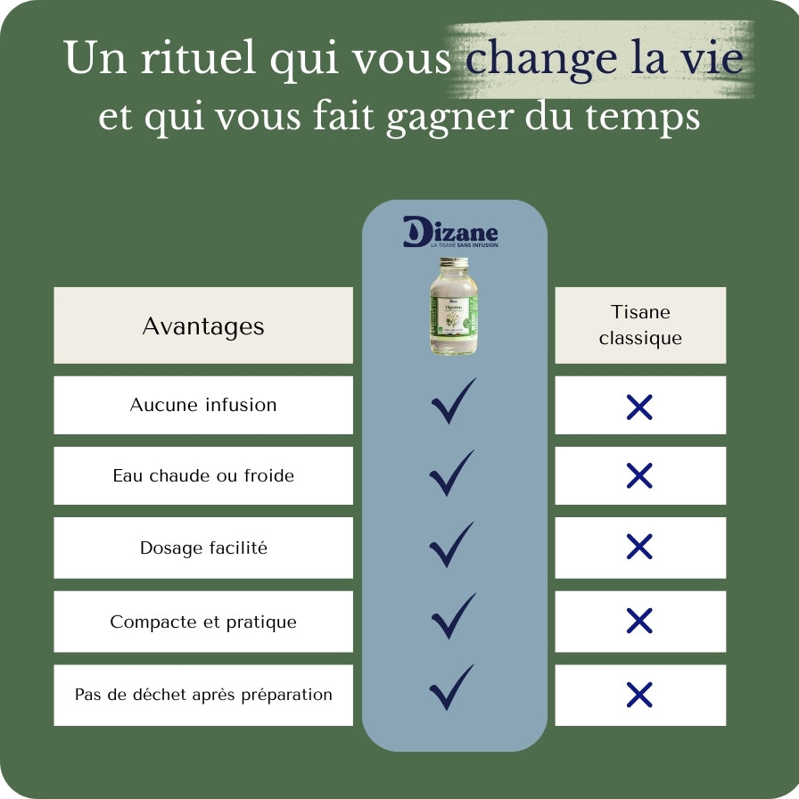 Dizane Digestion