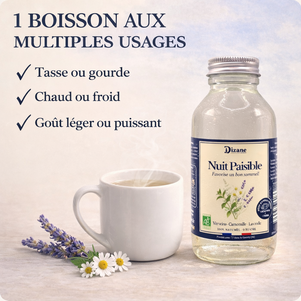 Dizane Nuit Paisible