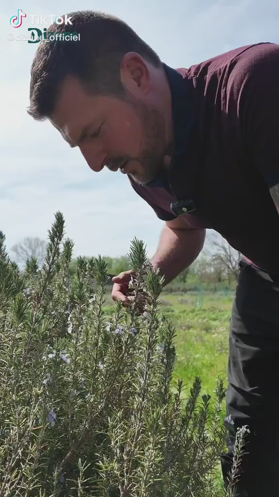À la ferme de Vanadal, au milieu des plantes